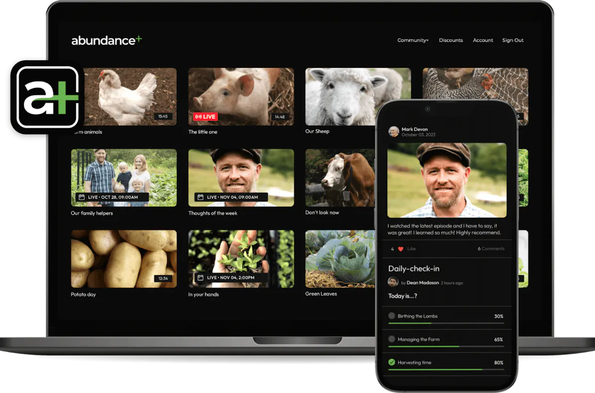 Abundance Plus success