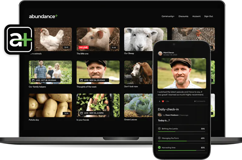 Abundance+ on laptop