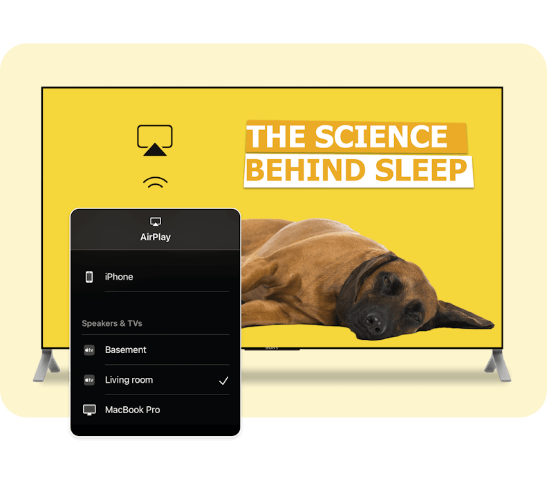 An image showcasing the ability to chrome cast and air play content from a phone to a tv device. The content displays a sleeping dog with the caption,  'The Science Behind Sleep'.