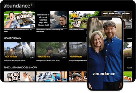 image of abundance+ streaming apps
