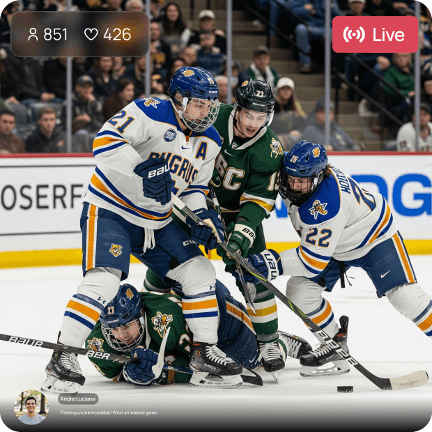 Live Event Broadcasting - Live Sports - Hero Hockey Image